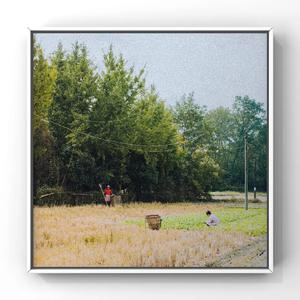 日本人真人性交做爱
